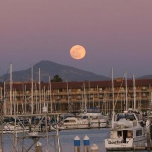 Meet your Posher, Brett